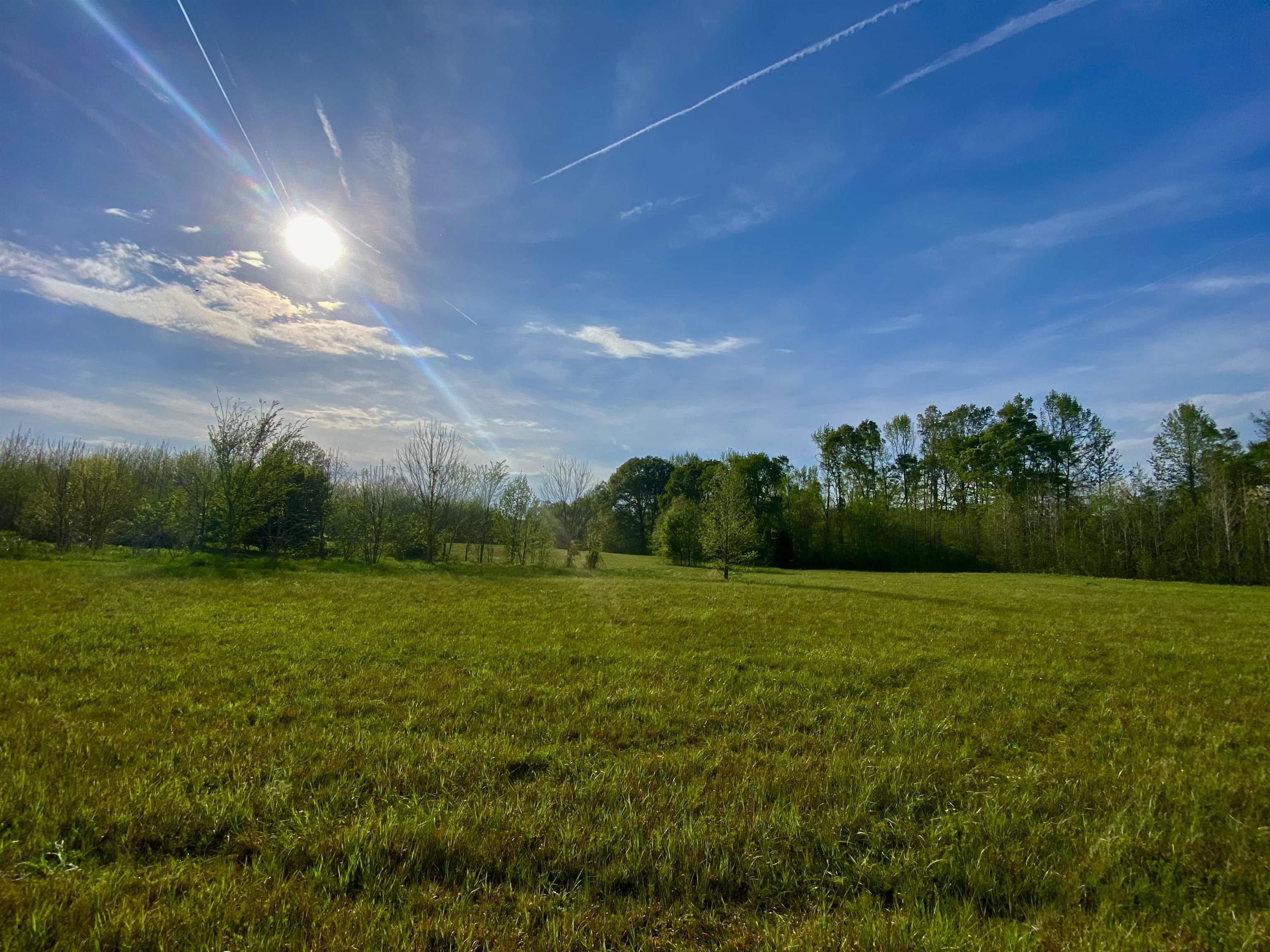 590-acres Early Grove Road Lamar, MS 38642 - Photo 21 of 39 Gallery Image 21