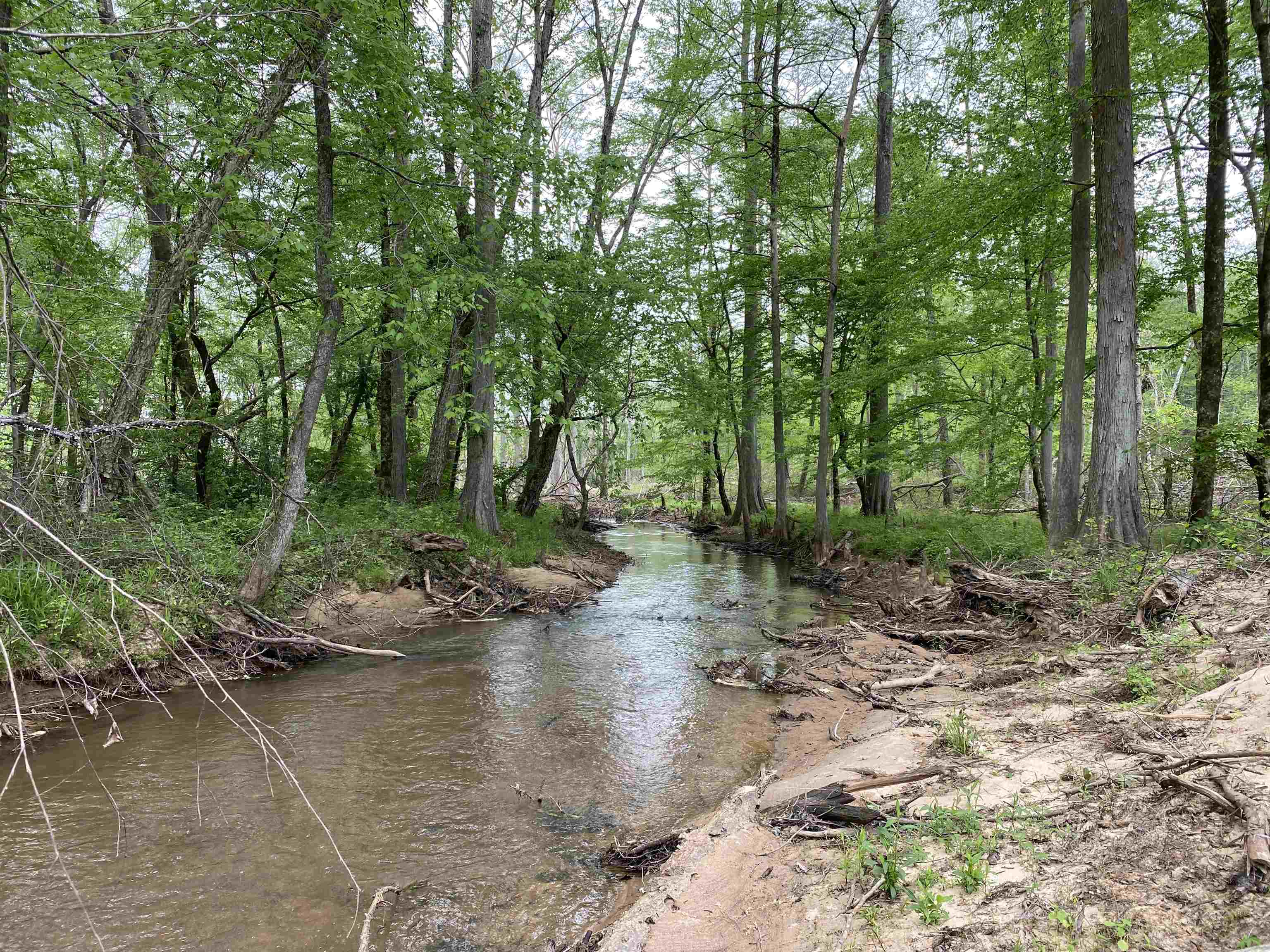 590-acres Early Grove Road Lamar, MS 38642 - Photo 27 of 39 Gallery Image 27