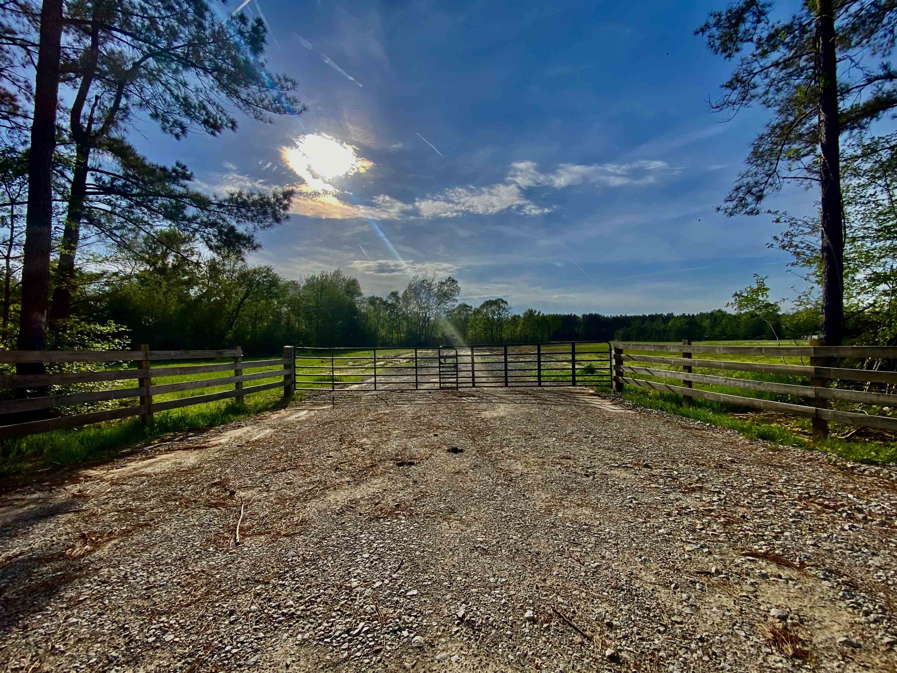 590-acres Early Grove Road Lamar, MS 38642 - Photo 31 of 39 Gallery Image 31