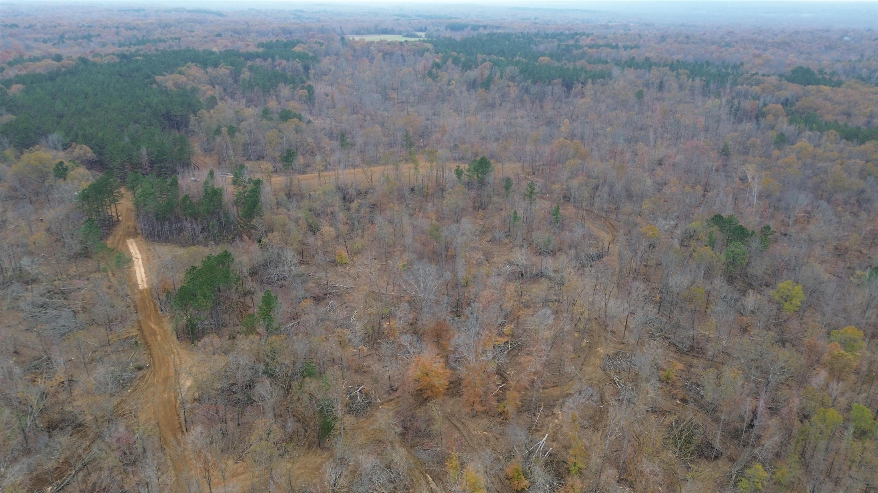 590-acres Early Grove Road Lamar, MS 38642 - Photo 32 of 39 Gallery Image 32