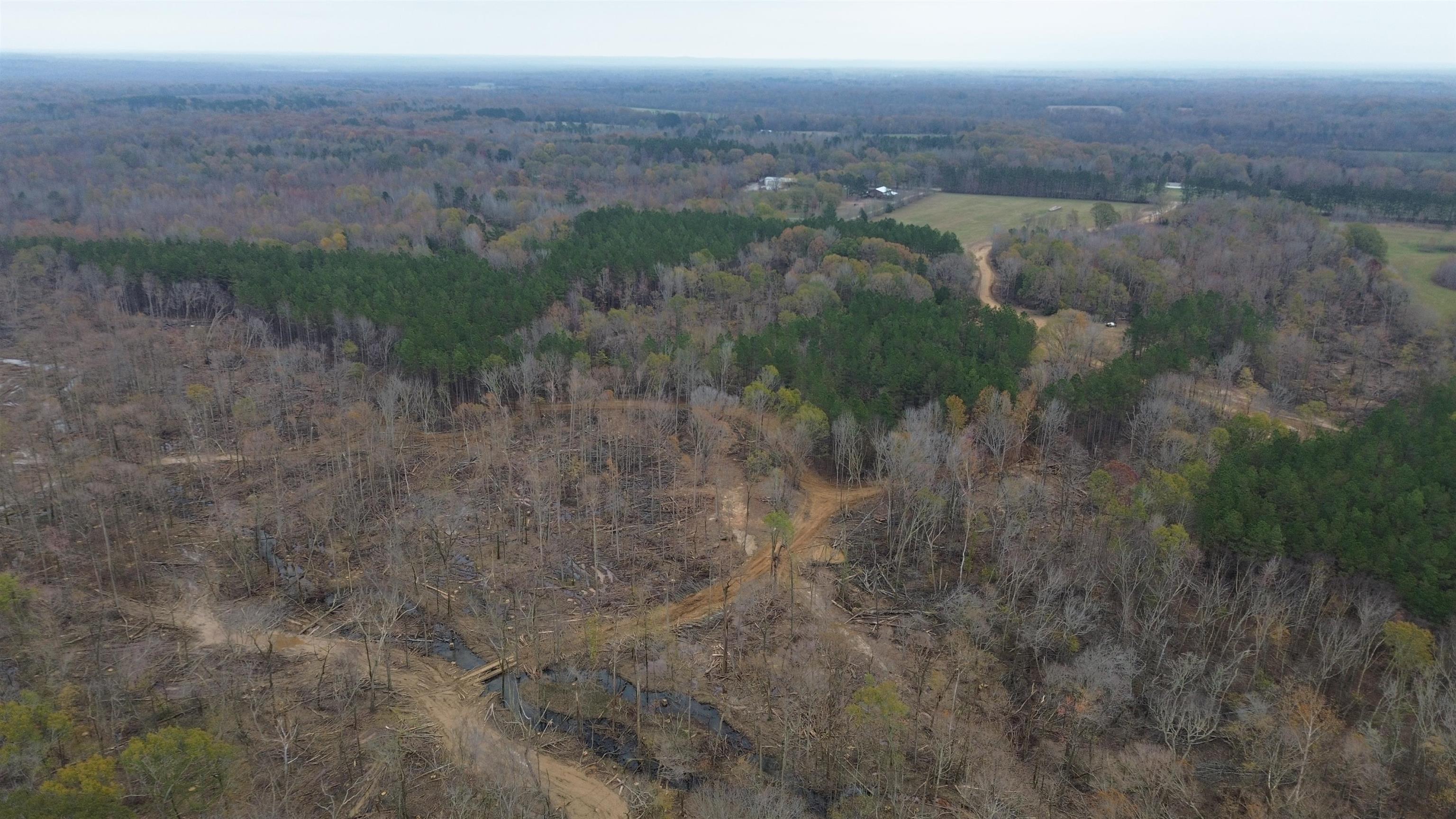590-acres Early Grove Road Lamar, MS 38642 - Photo 33 of 39 Gallery Image 33