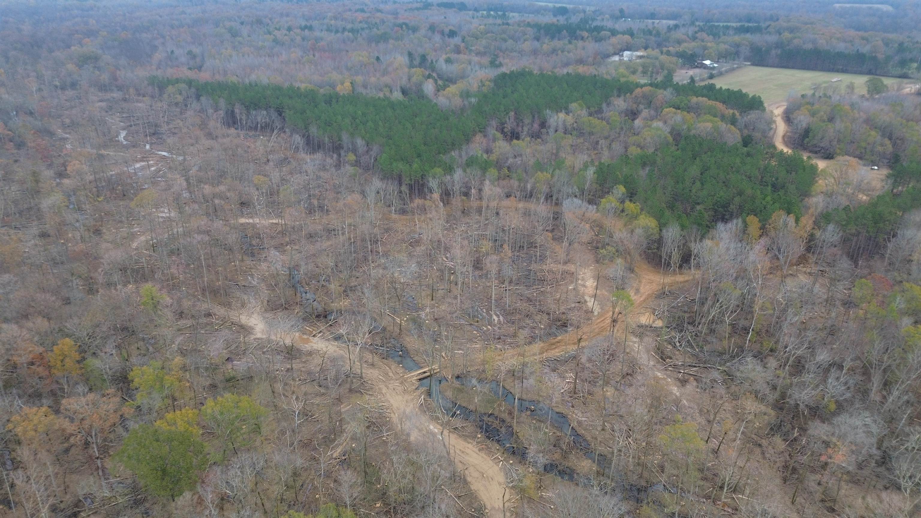 590-acres Early Grove Road Lamar, MS 38642 - Photo 34 of 39 Gallery Image 34