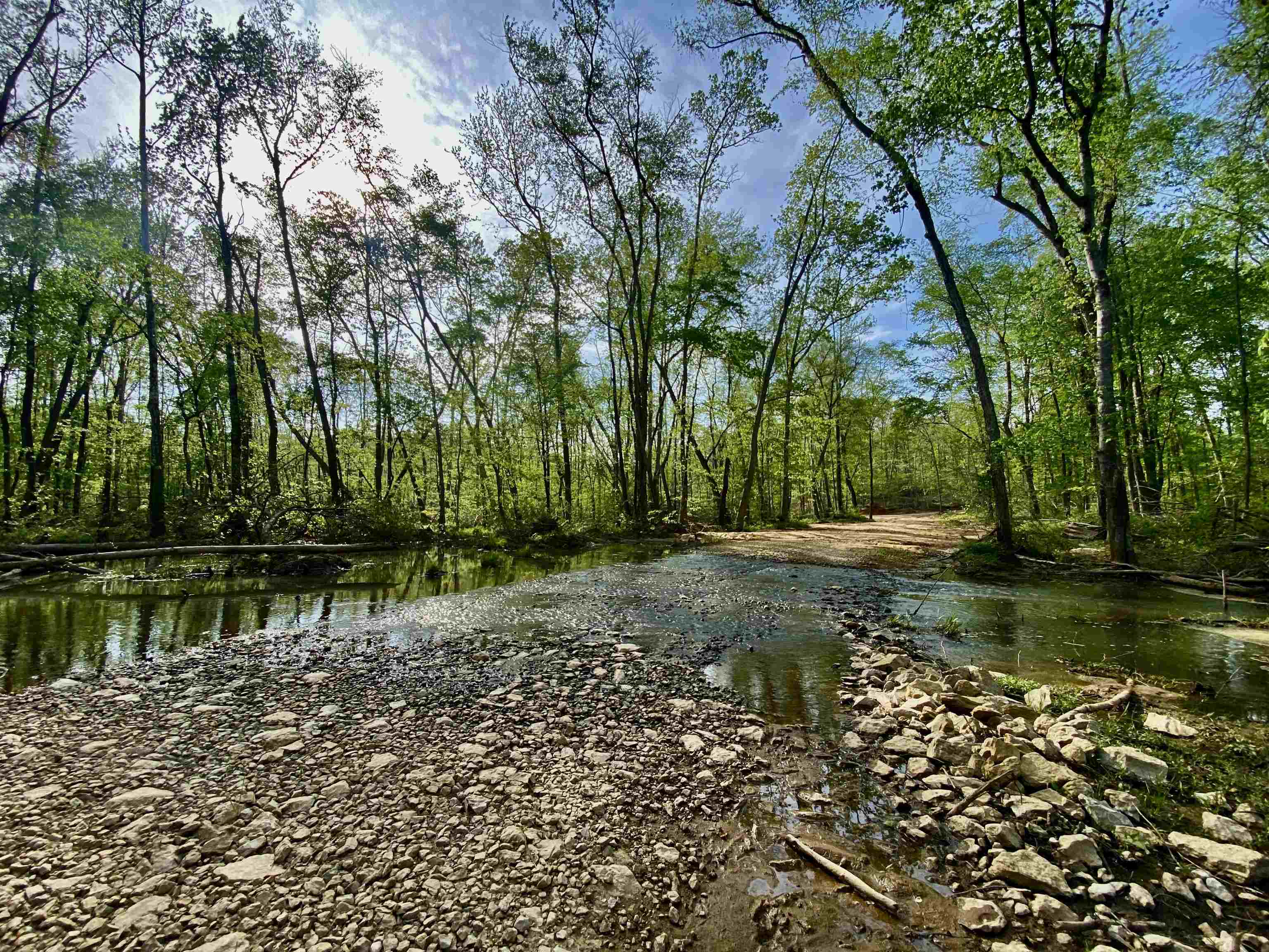 590-acres Early Grove Road Lamar, MS 38642 - Photo 8 of 39 Gallery Image 8