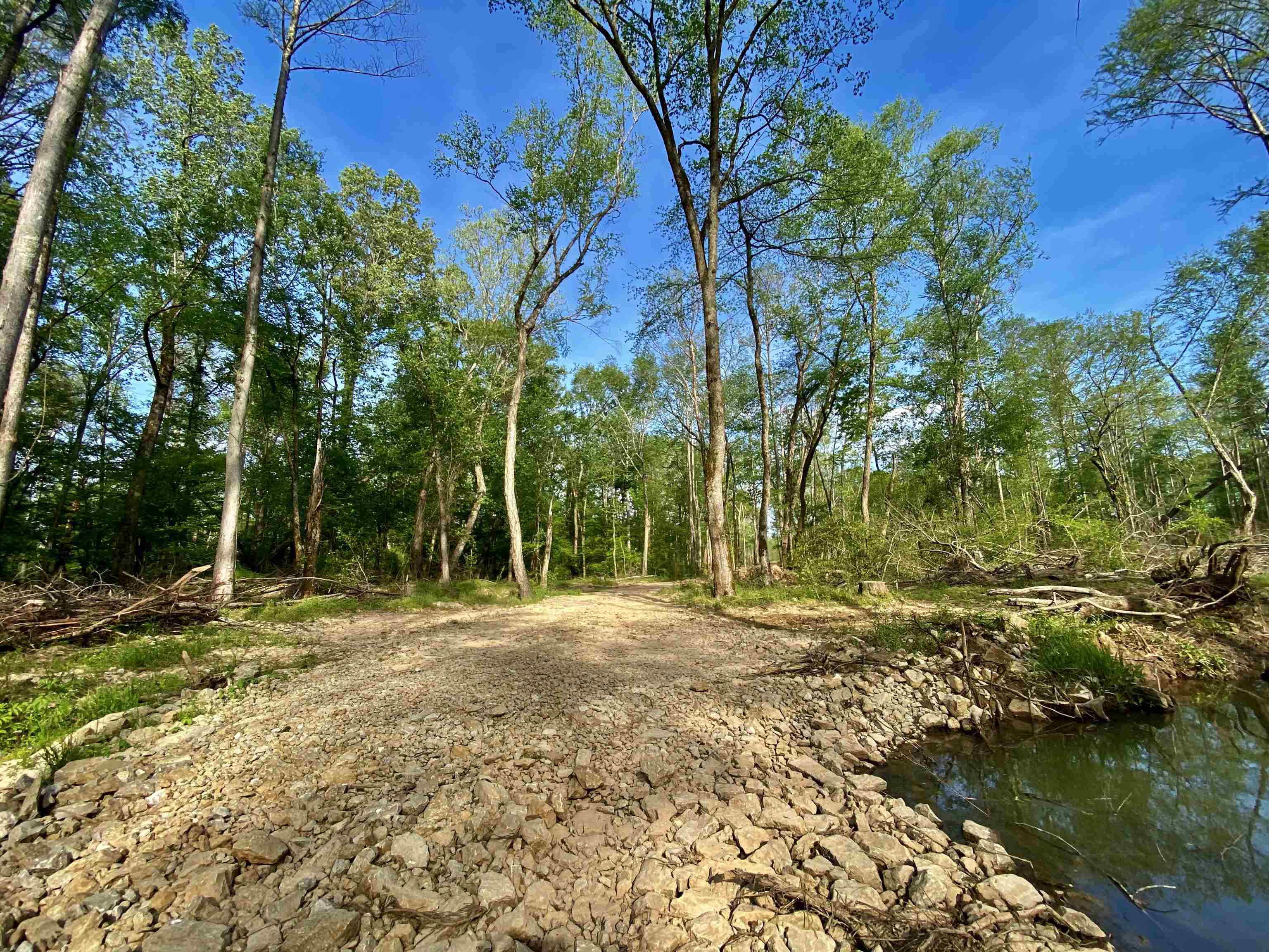 590-acres Early Grove Road Lamar, MS 38642 - Photo 9 of 39 Gallery Image 9