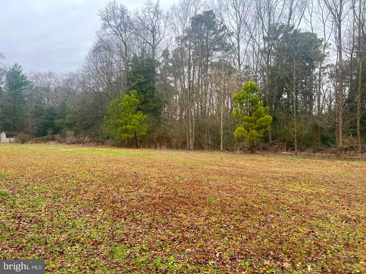 Lot # Phillips Hl Road Laurel, DE 19956 - Photo 1 of 1 Gallery Image 1