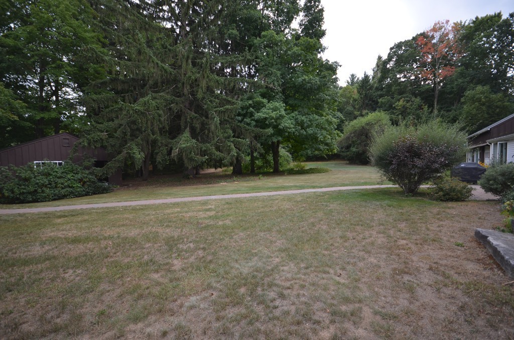 713 Bay Road Amherst, MA 01002 - Photo 26 of 29 a view of a field with trees in the background