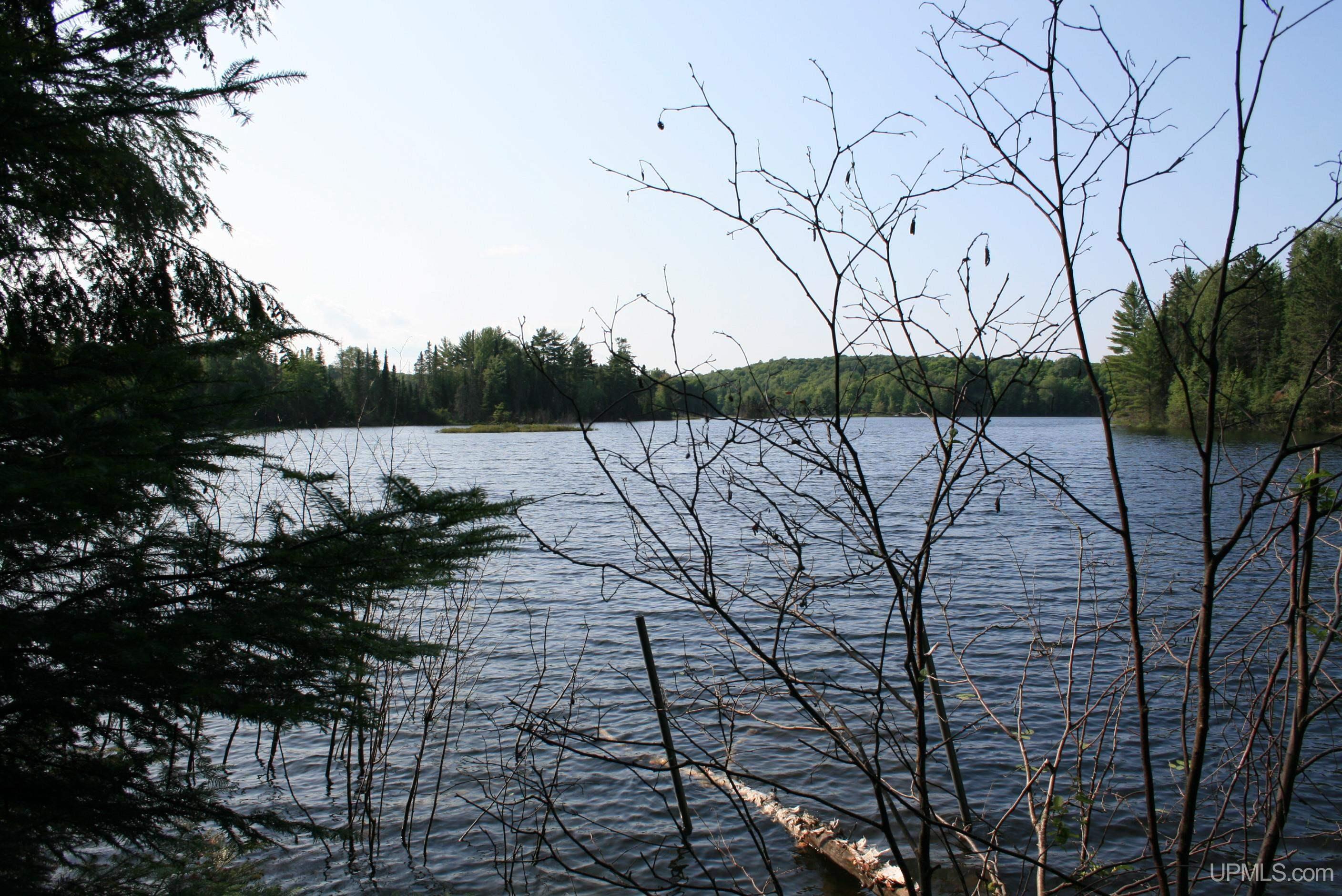 Tbd Sucker Lake Road Watersmeet, MI 49969 - Photo 2 of 24