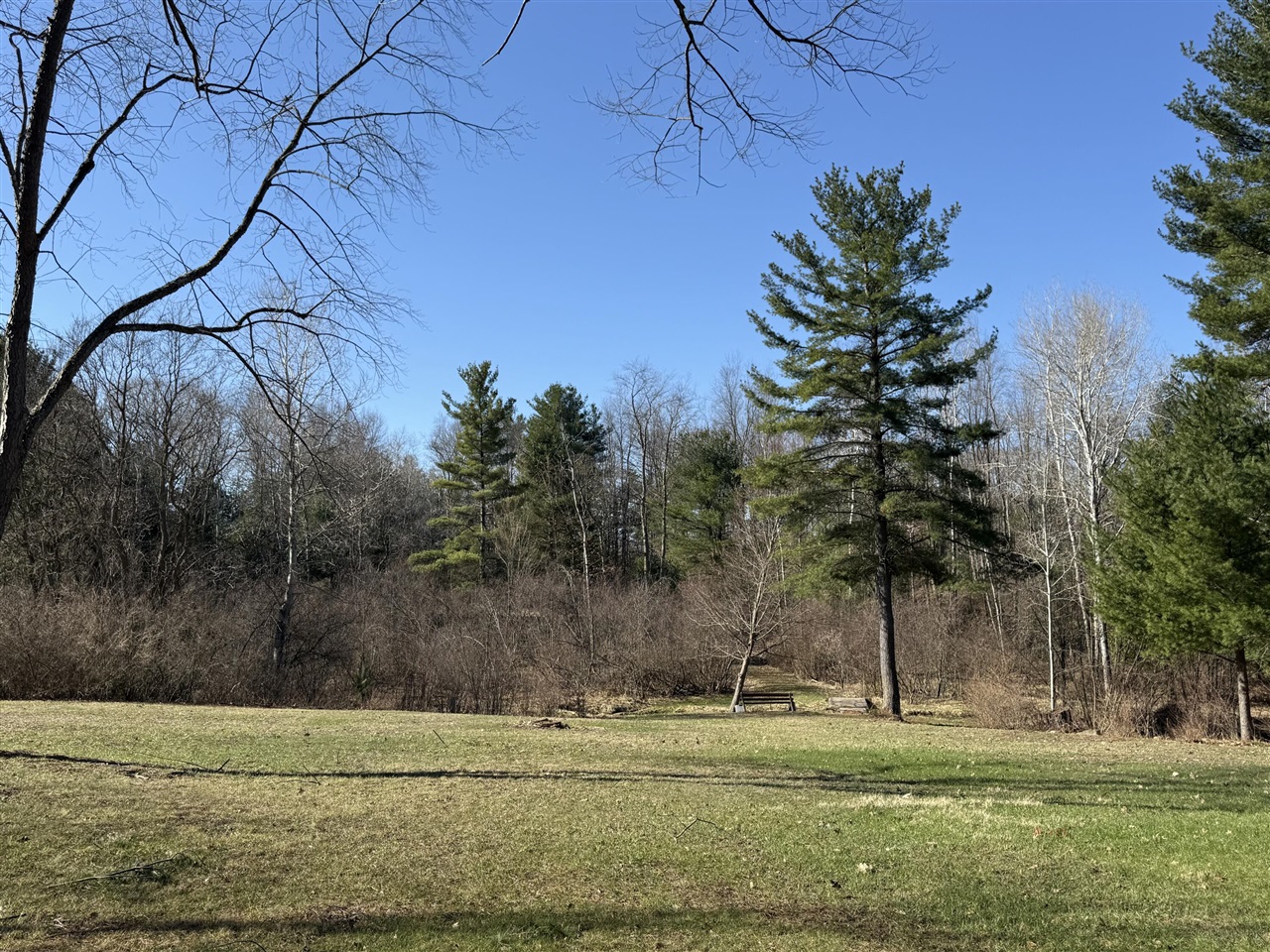 3345 West Madison Road Hart, MI 49420 - Photo 29 of 46