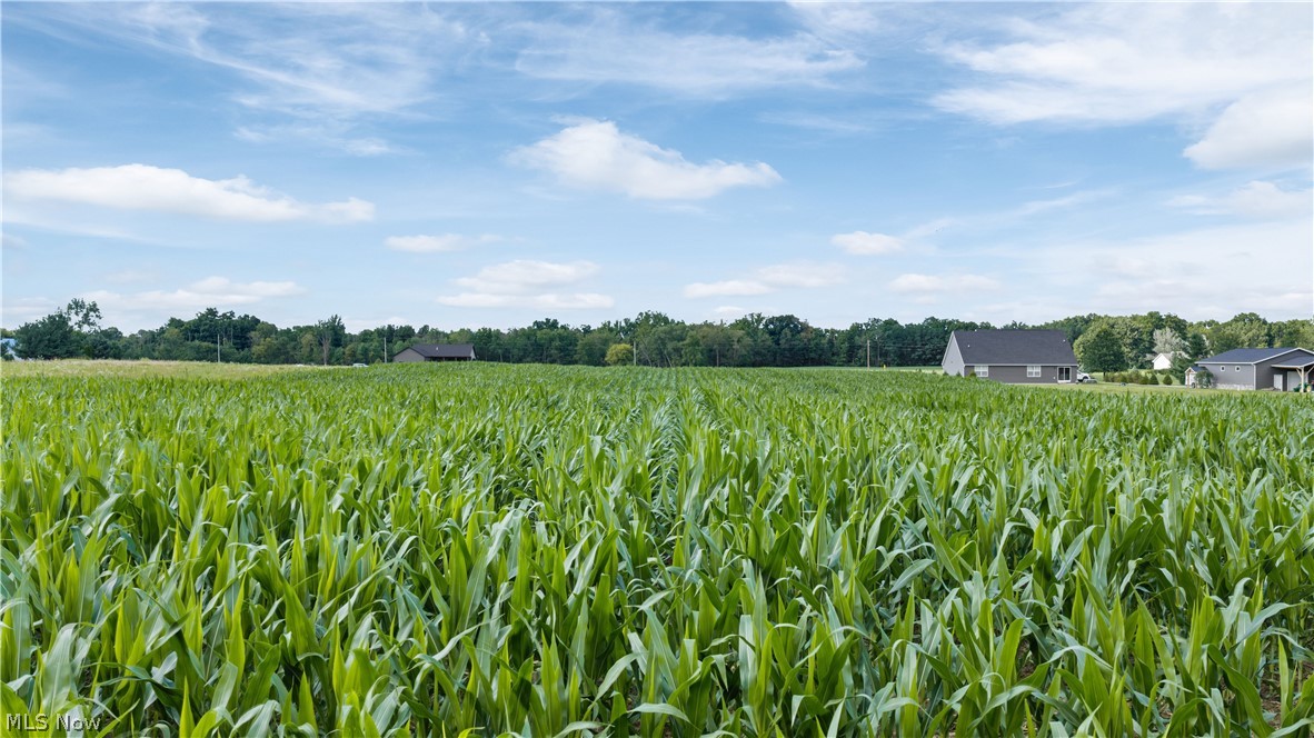 Old Mill Road Spencer, OH 44275 - Photo 5 of 11 Gallery Image 5