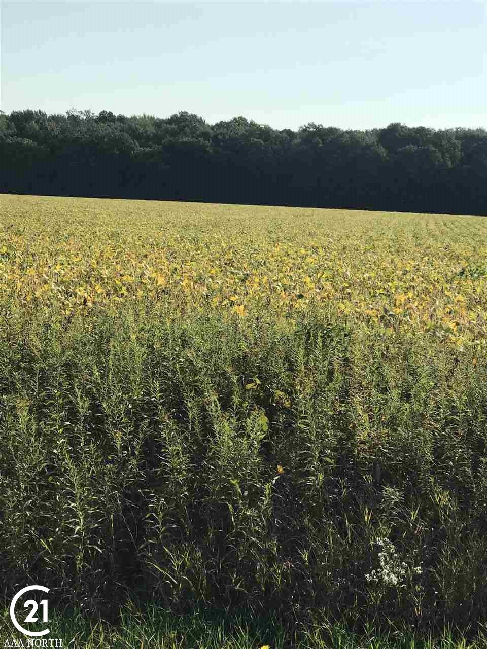 79840 True Road Armada, MI 48005 - Photo 4 of 8