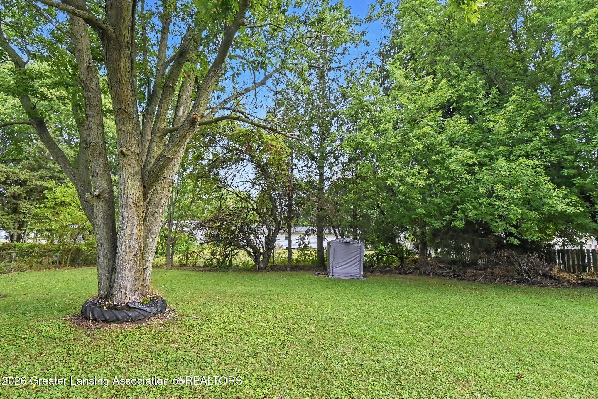 236 Dunham Street Sunfield, MI 48890 - Photo 27 of 34 024_file_9901