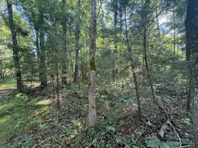 4187 South Forman Road Baldwin, MI 49304 - Photo 13 of 13 IMG_1954