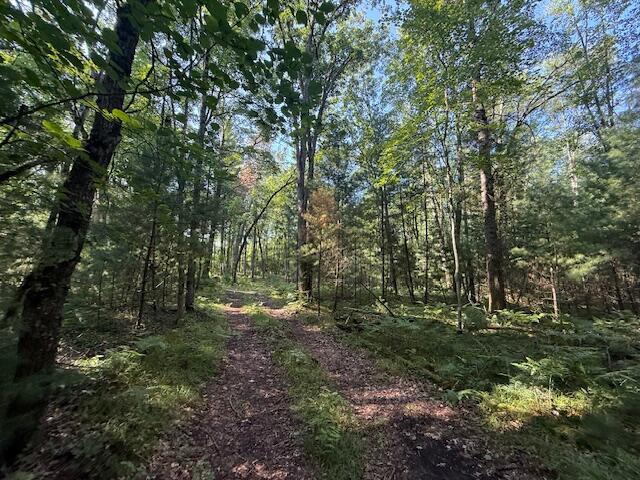 4187 South Forman Road Baldwin, MI 49304 - Photo 10 of 13 IMG_1950