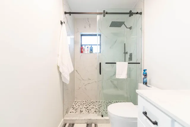 a bathroom with a shower and a toilet