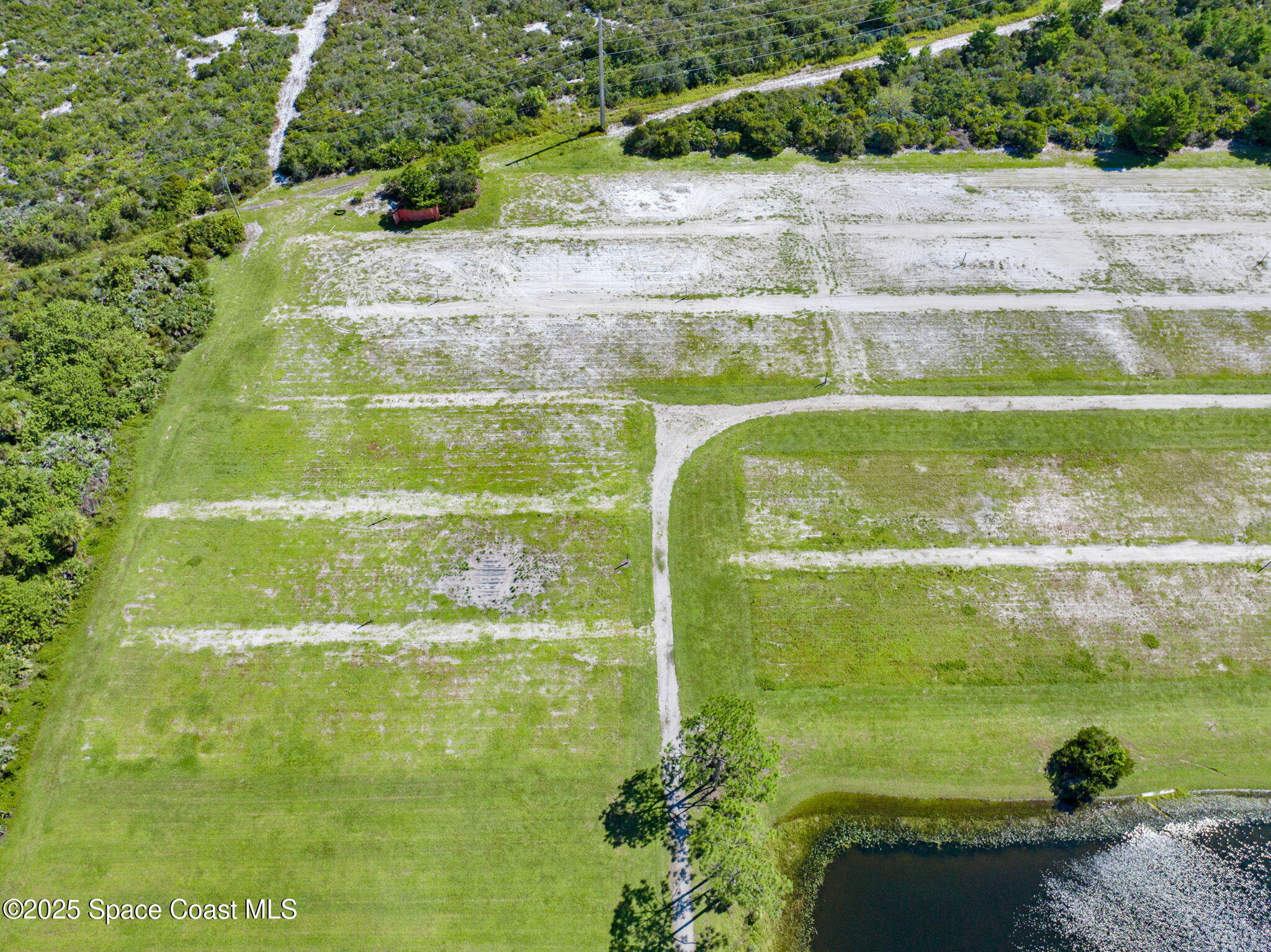 D Berry Road Grant Valkaria, FL 32949 - Photo 40 of 46 a view of a garden with a lake