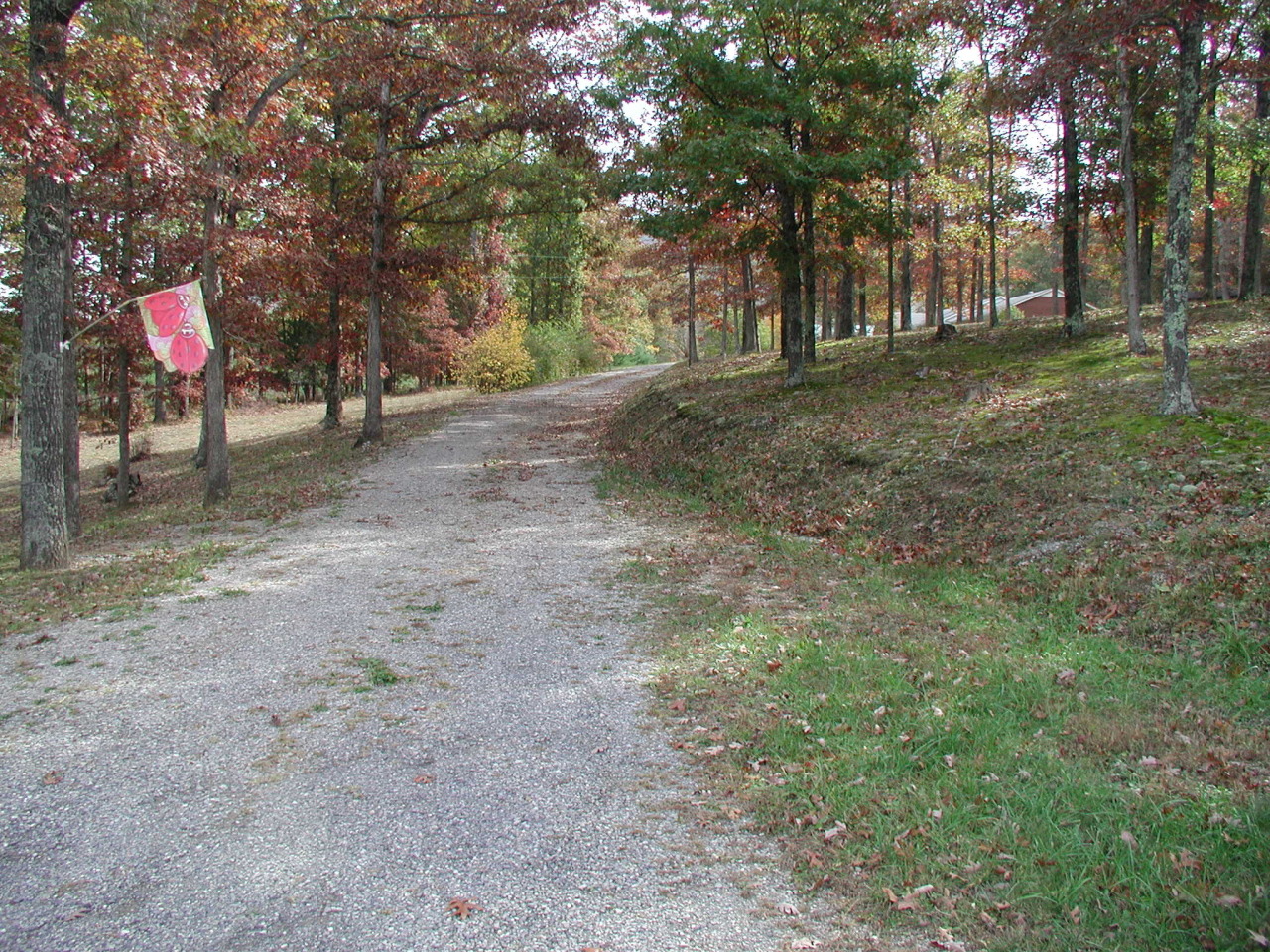 3502 Peaceful Valley Road New Castle, VA 24127 - Photo 2 of 20 driveway