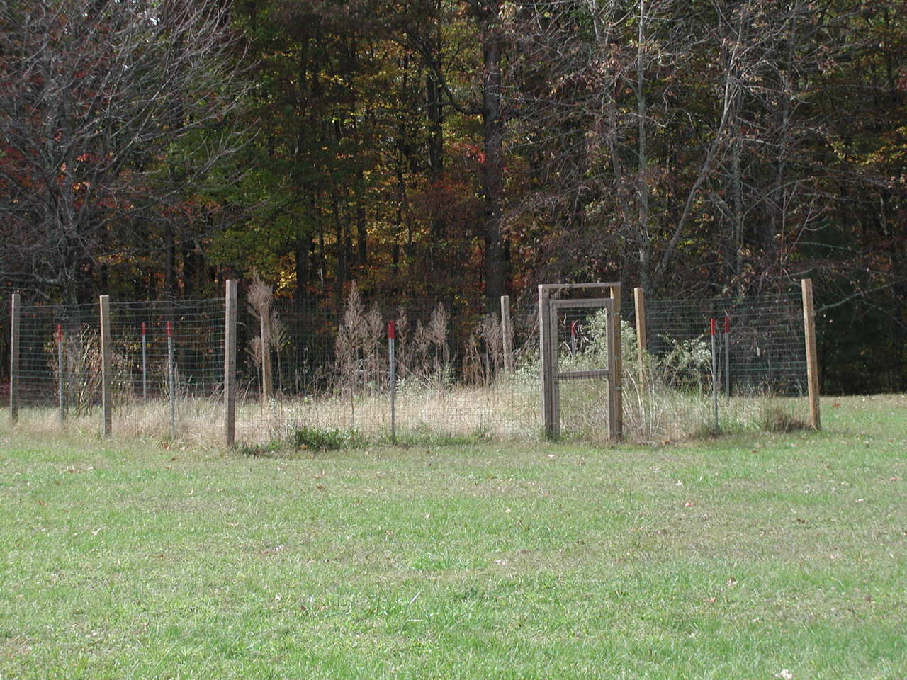 3502 Peaceful Valley Road New Castle, VA 24127 - Photo 13 of 20 Garden