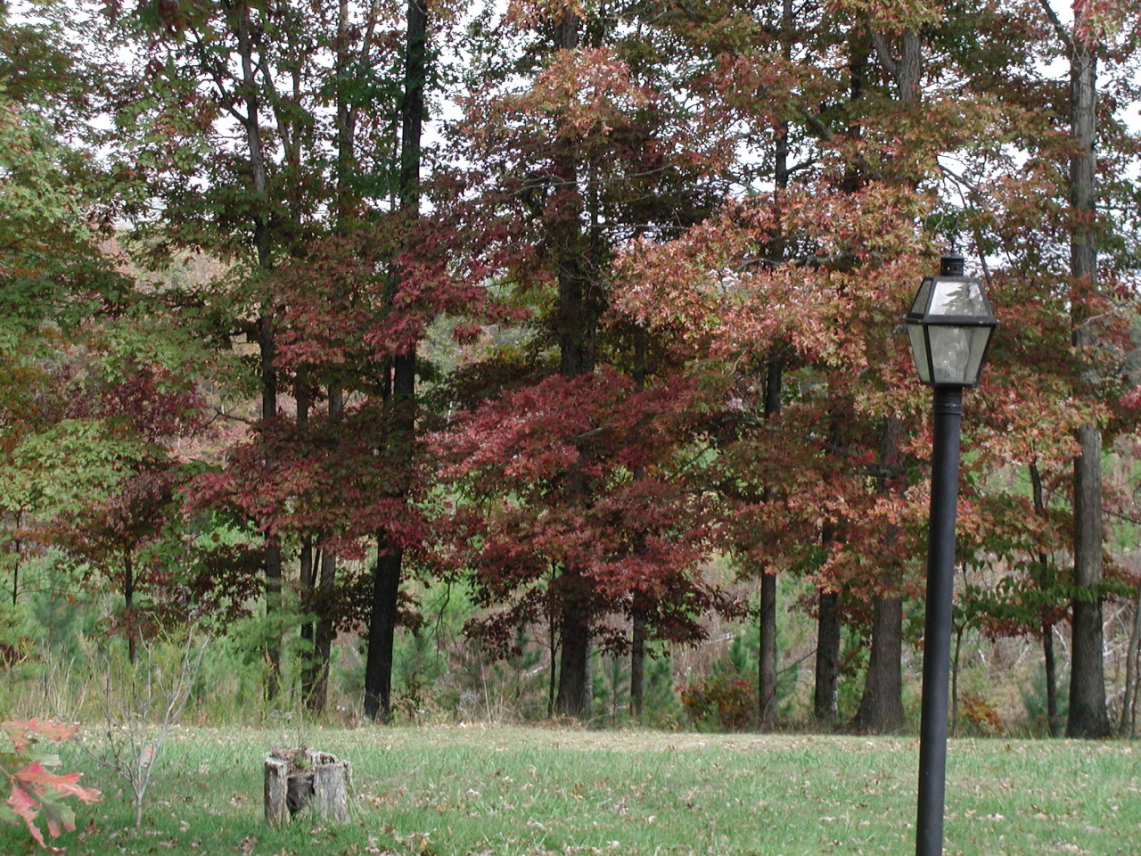 3502 Peaceful Valley Road New Castle, VA 24127 - Photo 14 of 20 Hardwoods