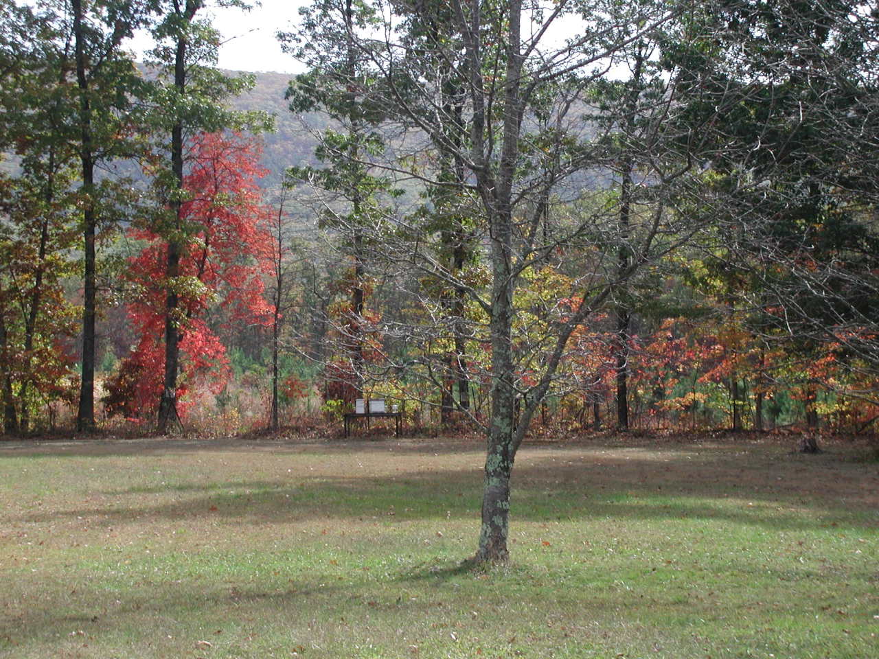 3502 Peaceful Valley Road New Castle, VA 24127 - Photo 15 of 20 view