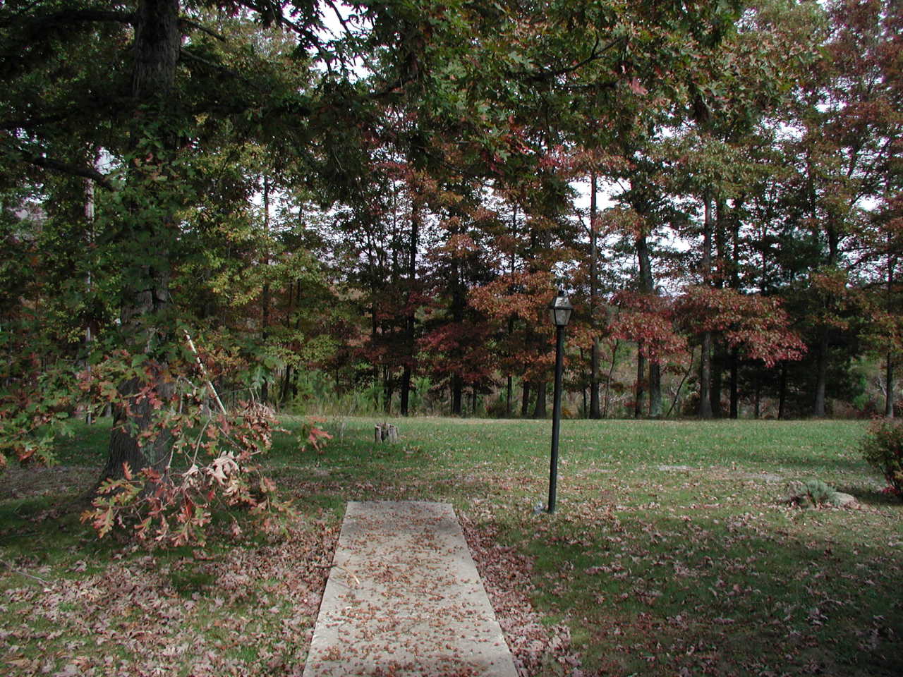 3502 Peaceful Valley Road New Castle, VA 24127 - Photo 10 of 20 front yard
