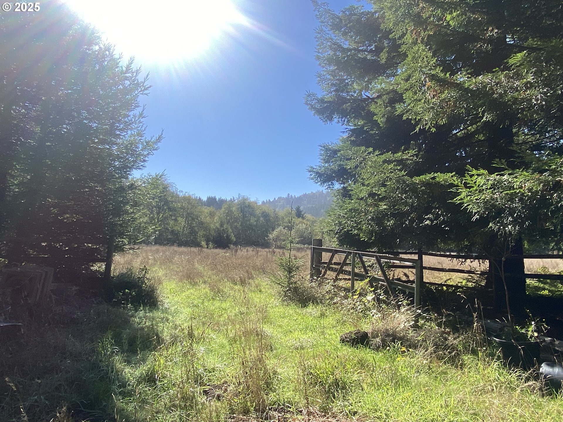 30 Winchuck River Road Brookings, OR 97415 - Photo 11 of 45 Pasture