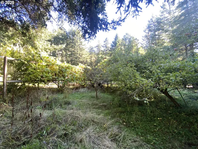 $1,200,000 | 30 Winchuck River Road, Brookings, OR 97415