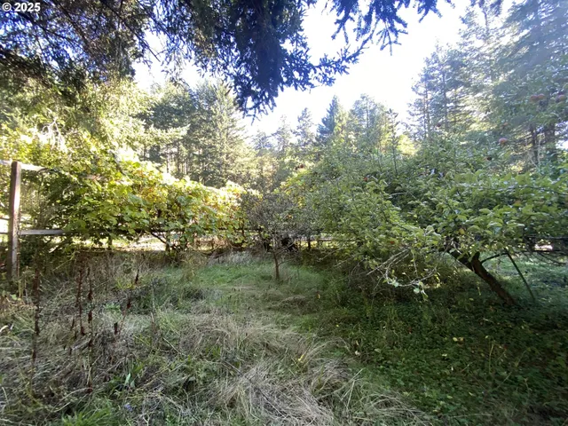 $1,200,000 | 30 Winchuck River Road, Brookings, OR 97415