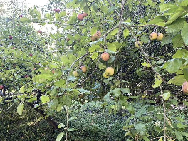 $1,200,000 | 30 Winchuck River Road, Brookings, OR 97415