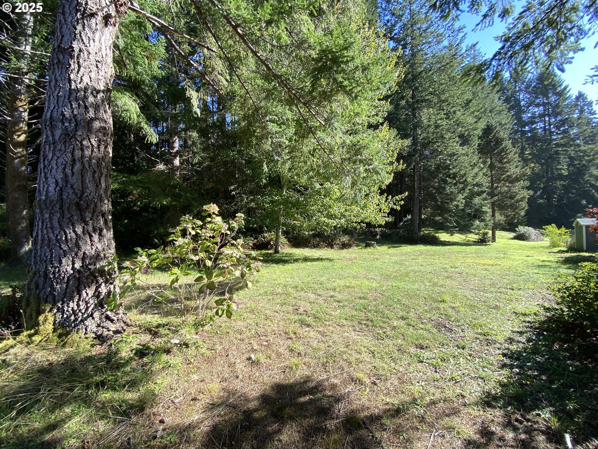 30 Winchuck River Road Brookings, OR 97415 - Photo 35 of 45 Backyard