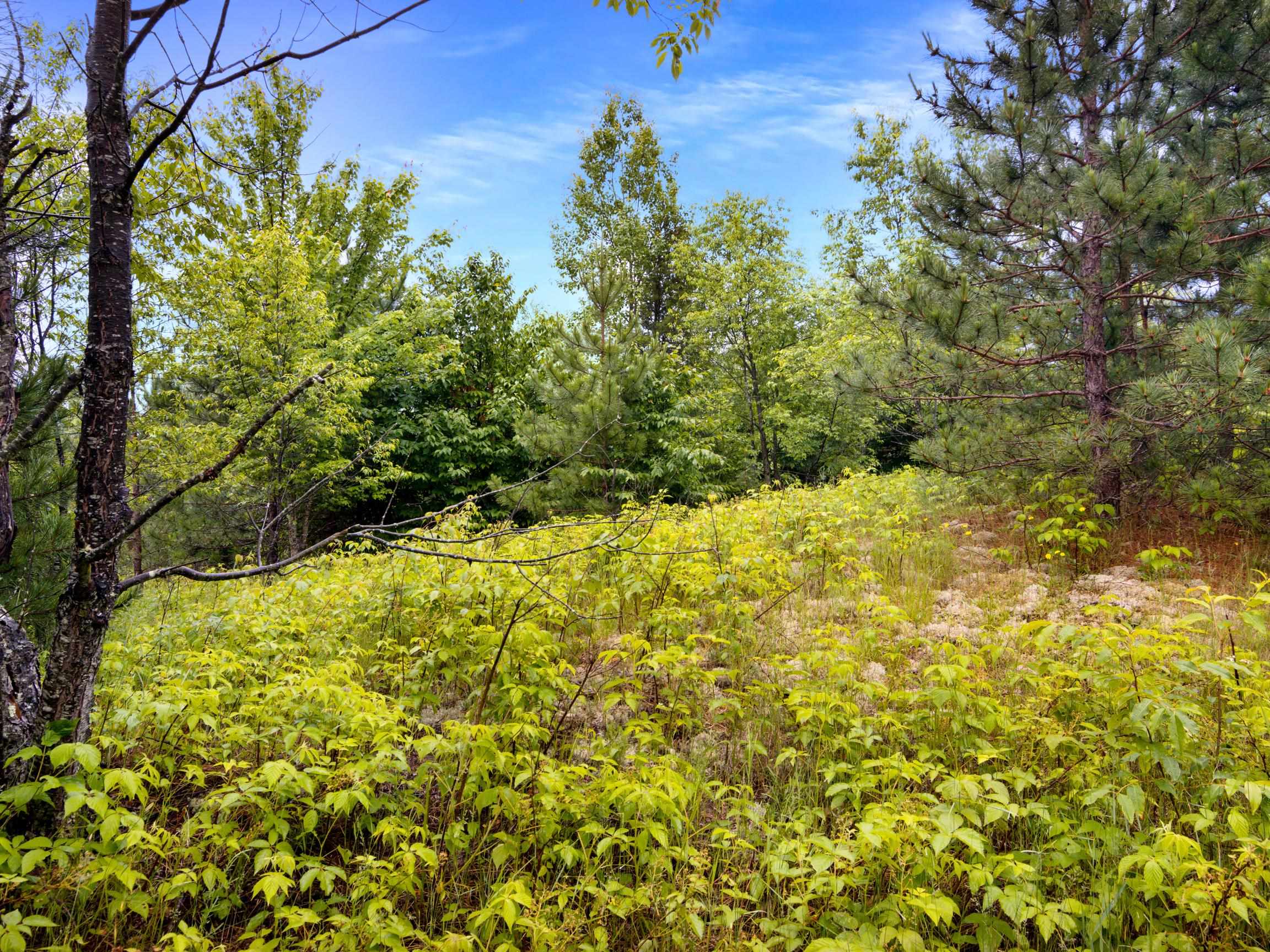 0 Maple Farms Lane Kingsley, MI 49649 - Photo 6 of 21 1947367-6c99323e-23ef-442f-b3a5-3c075c94f94b.JPG