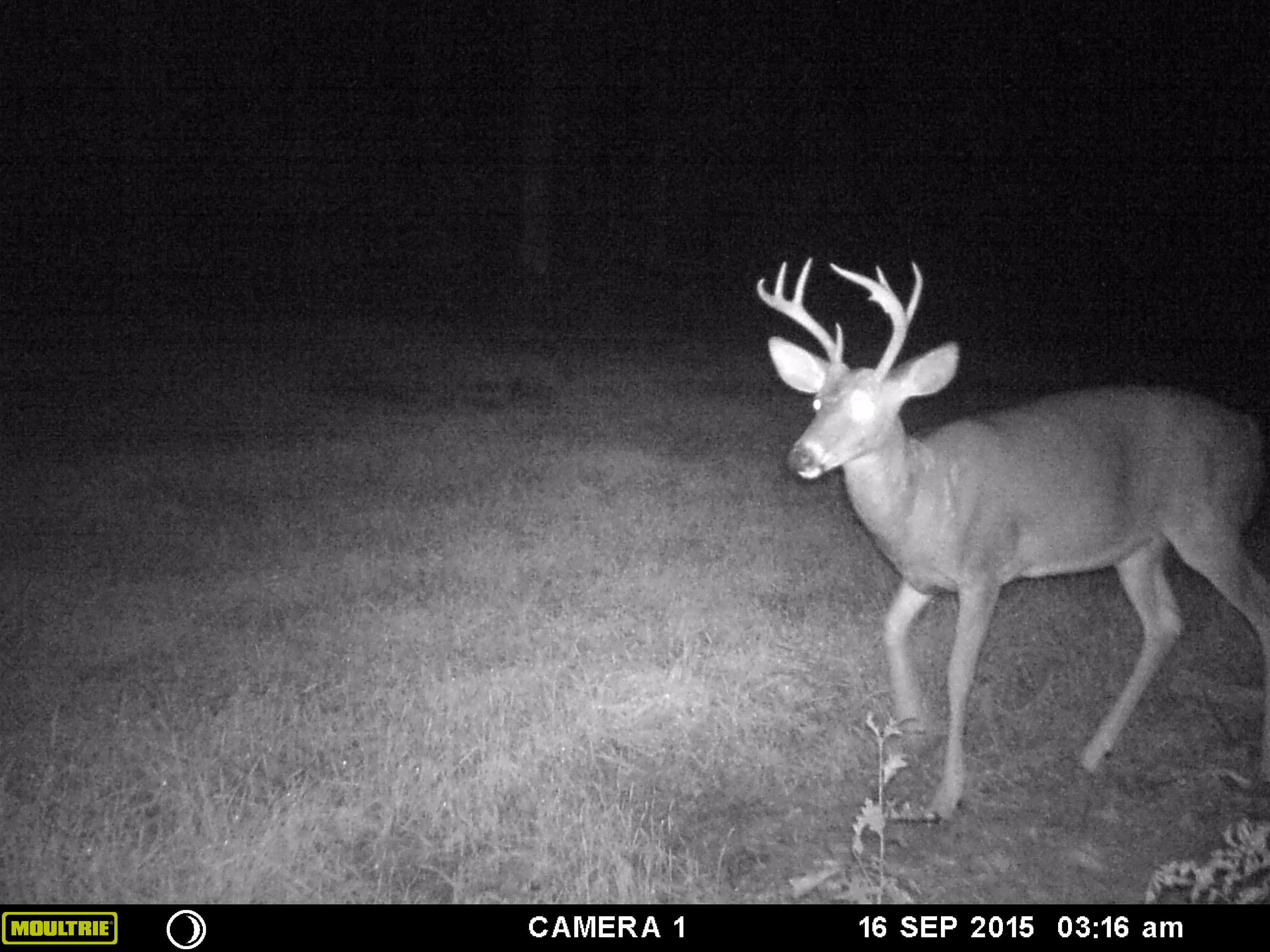 563-575 Ruth Road Lewiston, MI 49756 - Photo 22 of 25 Gallery Image 22