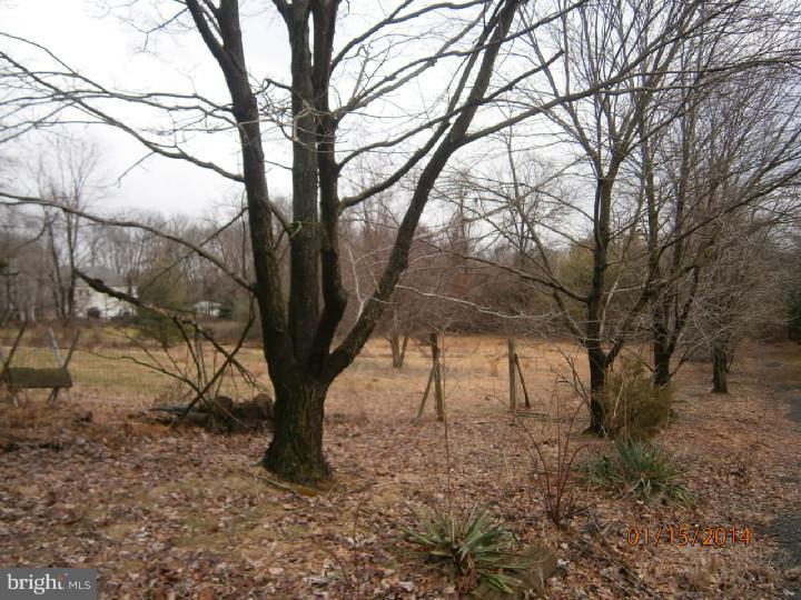 35 Ferry Road Doylestown, PA 18901 - Photo 20 of 22