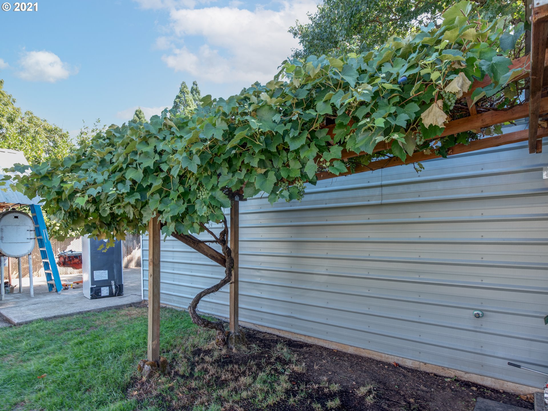 353 Baxter Street Eugene, OR 97402 - Photo 21 of 26