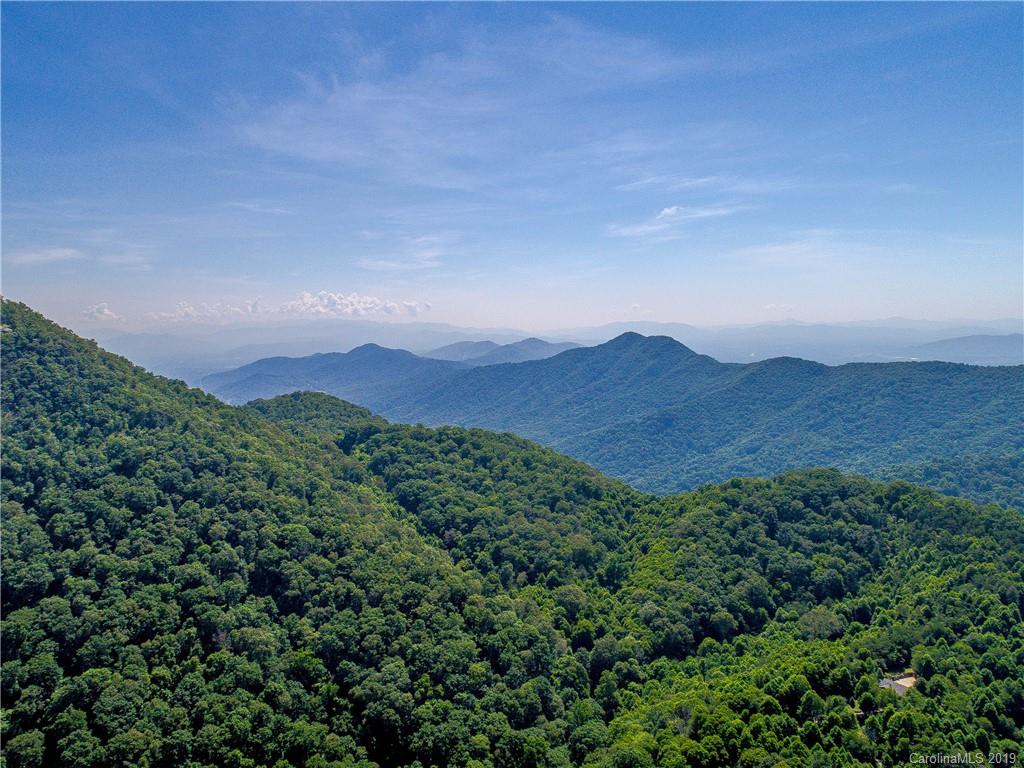 390 Grandview Road Canton, NC 28716 - Photo 35 of 42 a view of a lush green forest with lots of trees