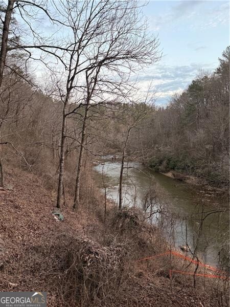 0 Shady Grove Church Road Talking Rock, GA 30175 - Photo 1 of 1 Gallery Image 1
