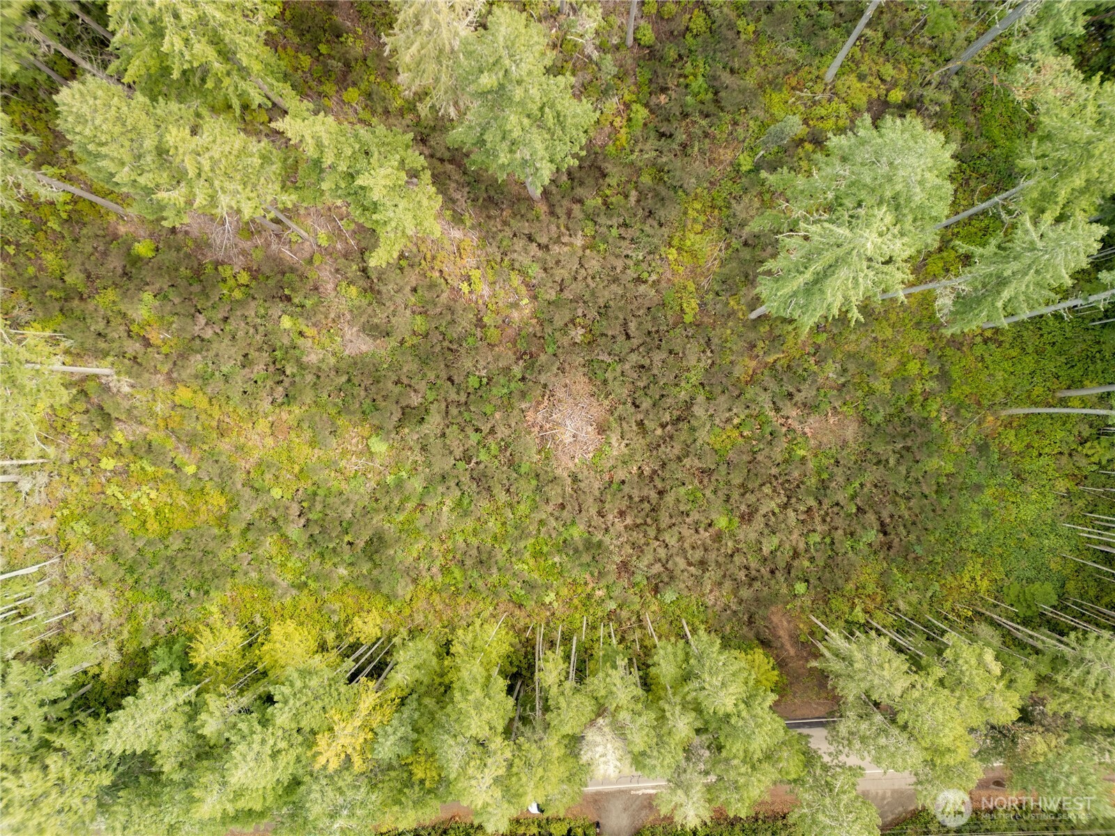 0 Olympic View Road Northwest Silverdale, WA 98383 - Photo 12 of 14 a view of a yard with a tree