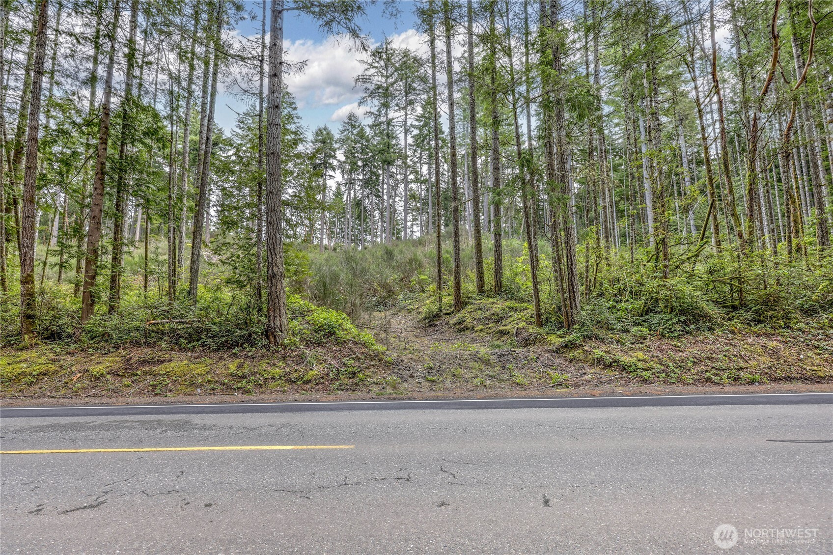 0 Olympic View Road Northwest Silverdale, WA 98383 - Photo 2 of 14 a view of a yard with a tree