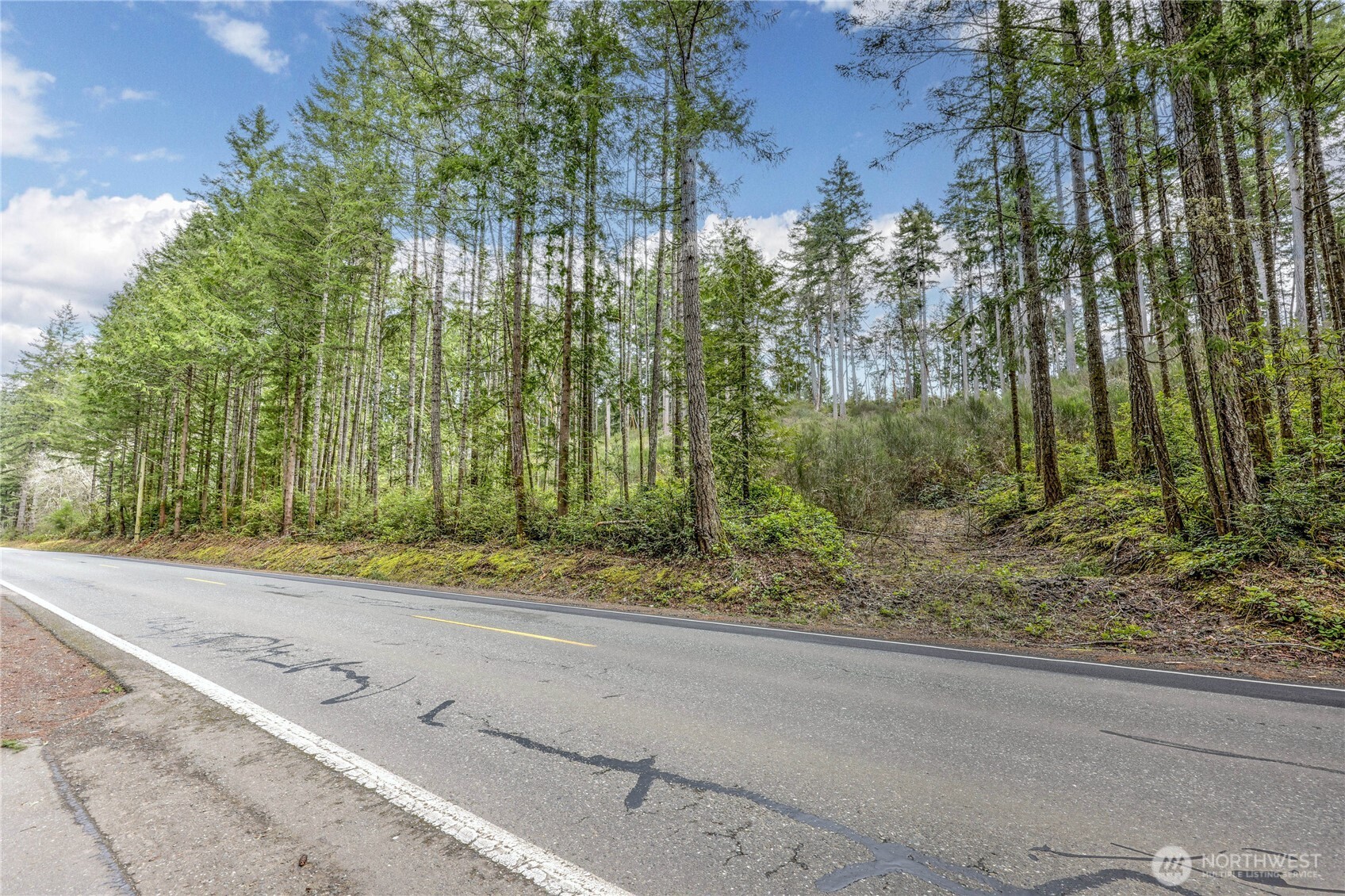 0 Olympic View Road Northwest Silverdale, WA 98383 - Photo 3 of 14 a view of a yard with plants