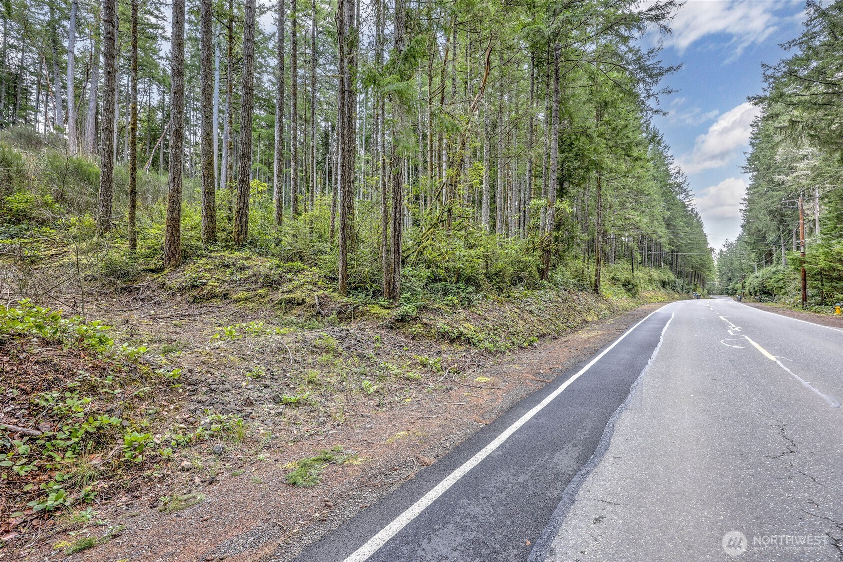 0 Olympic View Road Northwest Silverdale, WA 98383 - Photo 4 of 14 a view of a backyard