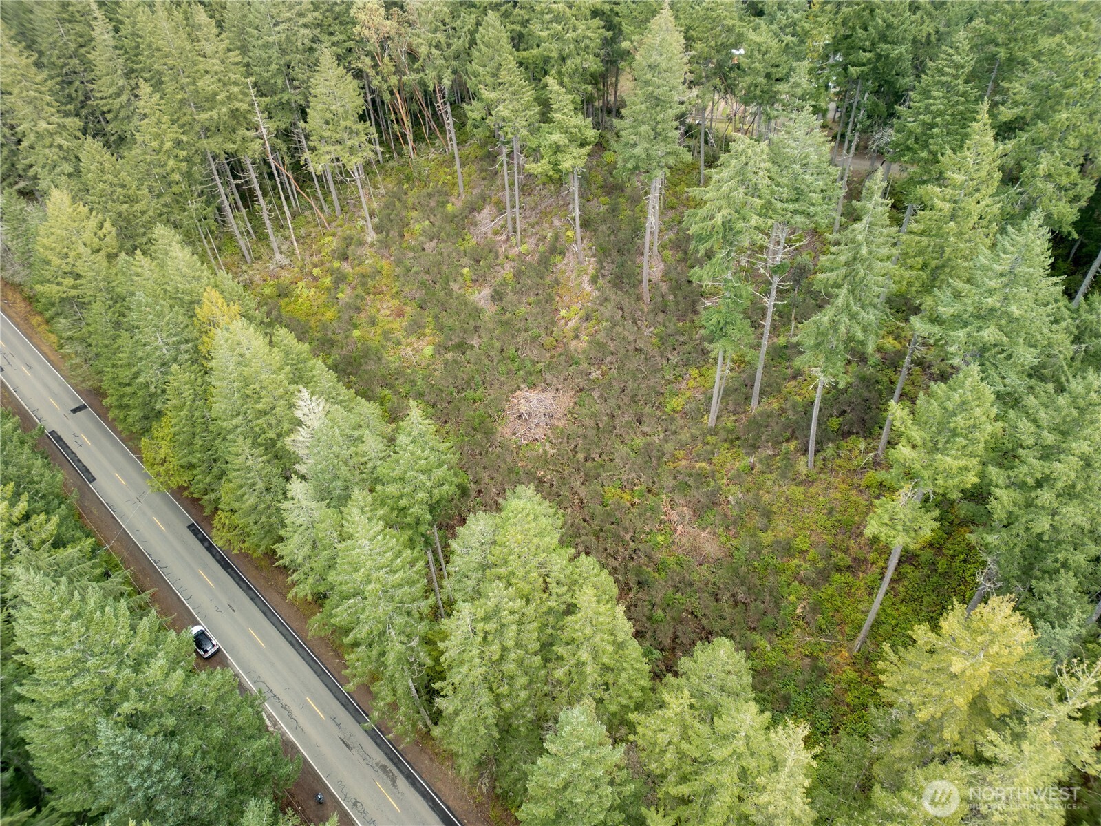 0 Olympic View Road Northwest Silverdale, WA 98383 - Photo 5 of 14 a view of a forest from a window