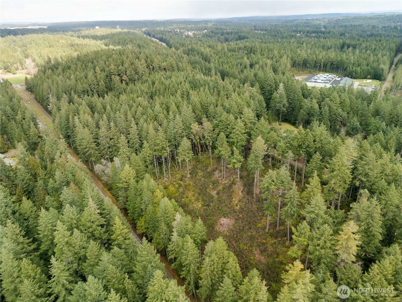 0 Olympic View Road Northwest Silverdale, WA 98383 - Photo 6 of 14 a view of a forest with an outdoor space