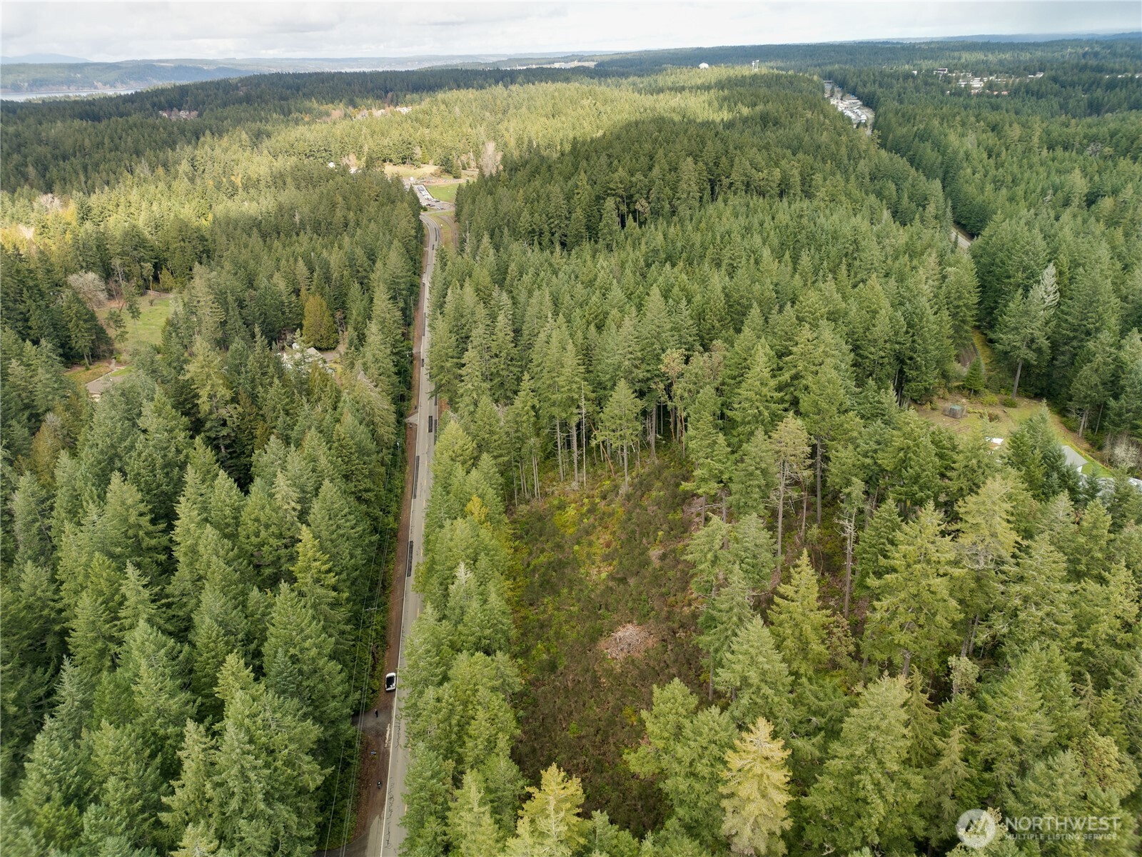 0 Olympic View Road Northwest Silverdale, WA 98383 - Photo 7 of 14 a view of a green field with a lush green forest