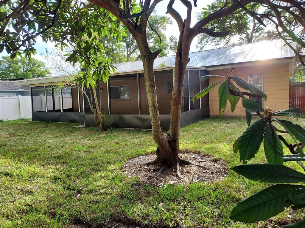 2001 Groveland Road Palm Harbor, FL 34683 - Photo 13 of 23