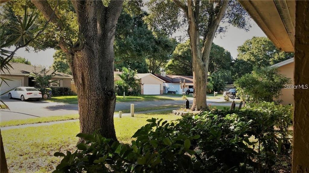 2001 Groveland Road Palm Harbor, FL 34683 - Photo 22 of 23