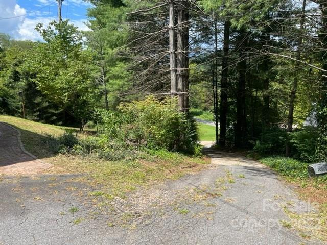 44 Jessella Drive Clyde, NC 28721 - Photo 37 of 37 a view of a pathway of a park