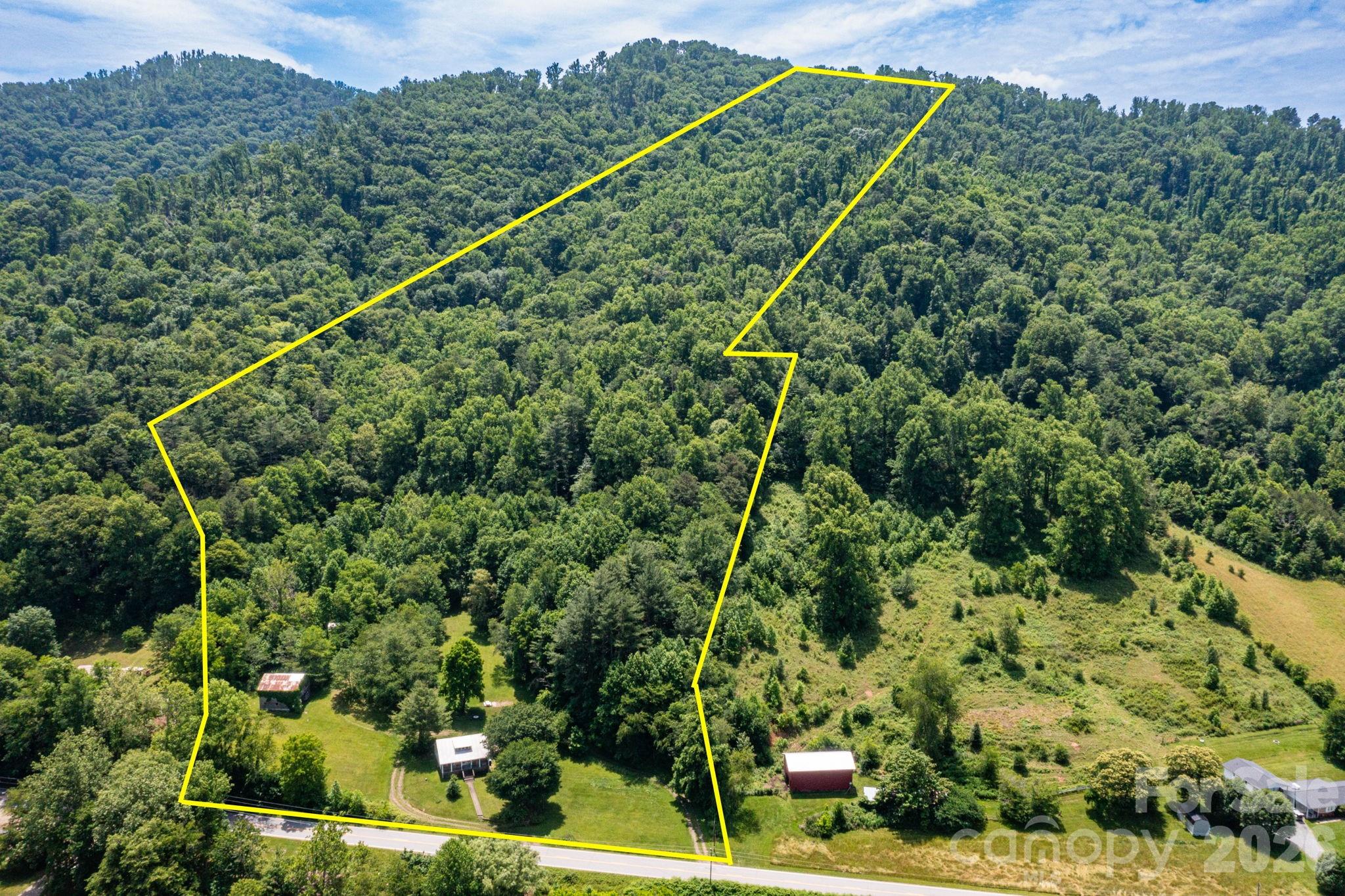 329 North Fork Road Barnardsville, NC 28709 - Photo 4 of 33