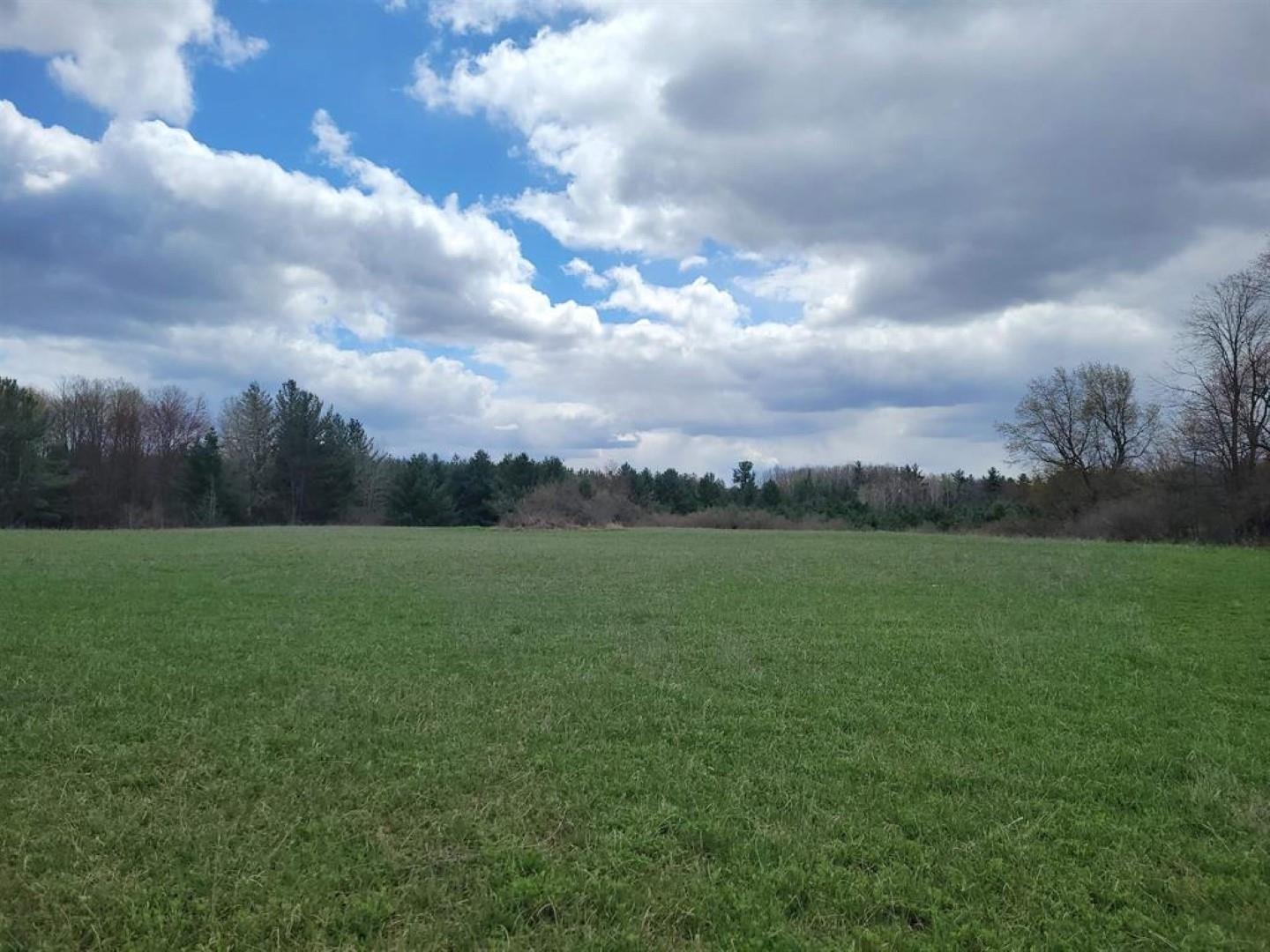 Vl Hilts Road Gladwin, MI 48624 - Photo 5 of 17