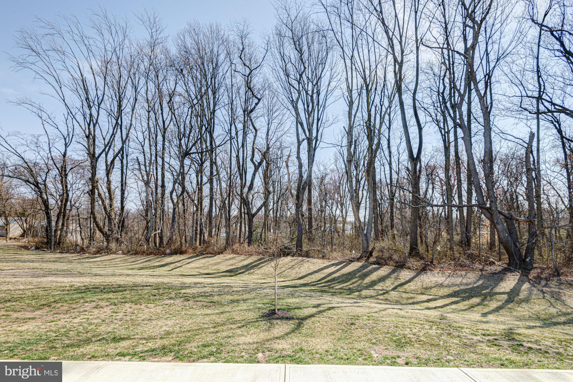 293 Sedimentary Rock Road Dover, DE 19904 - Photo 14 of 36 a view of outdoor space with trees