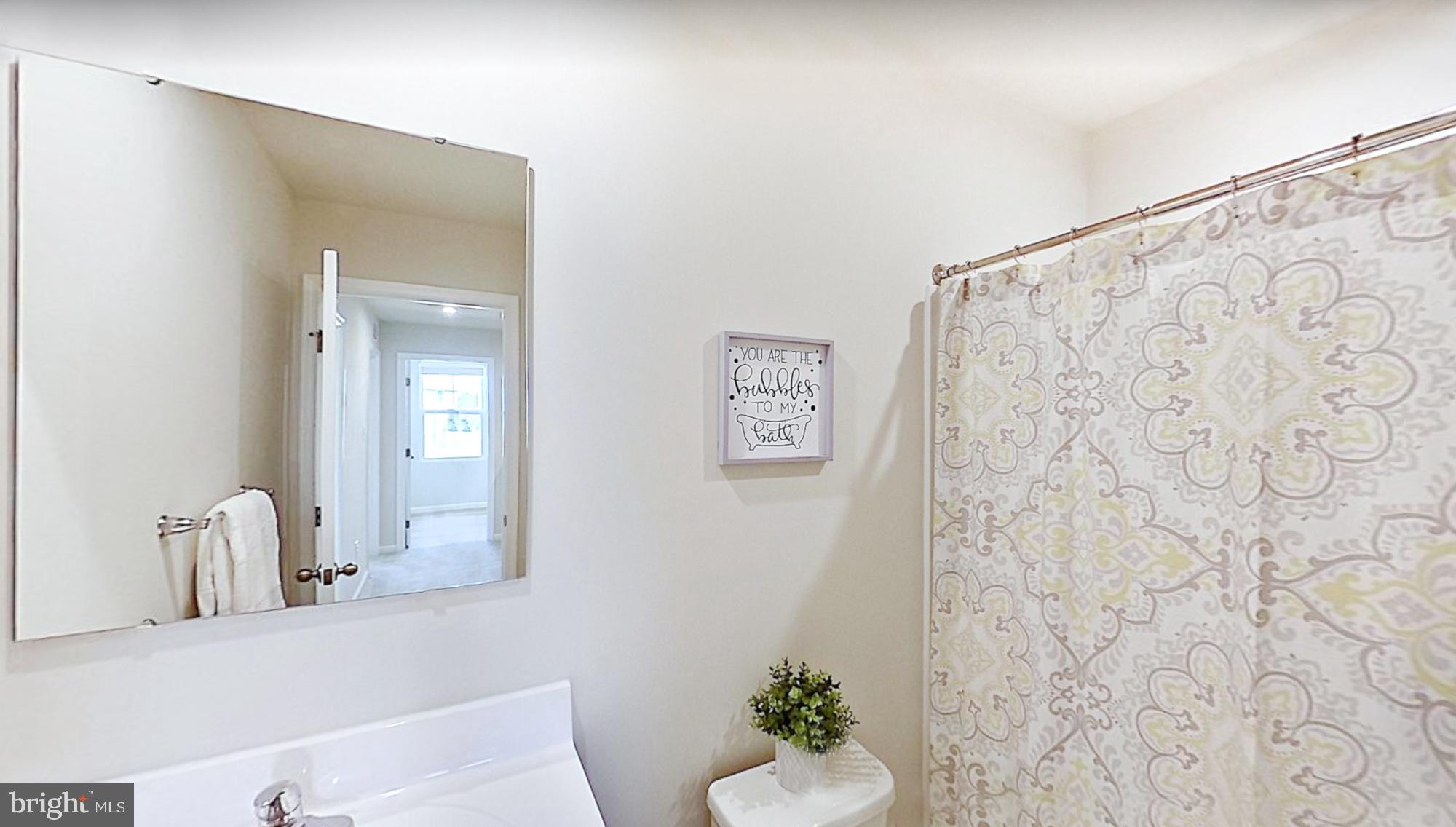 293 Sedimentary Rock Road Dover, DE 19904 - Photo 29 of 36 a bathroom with a shower curtain a mirror and a sink