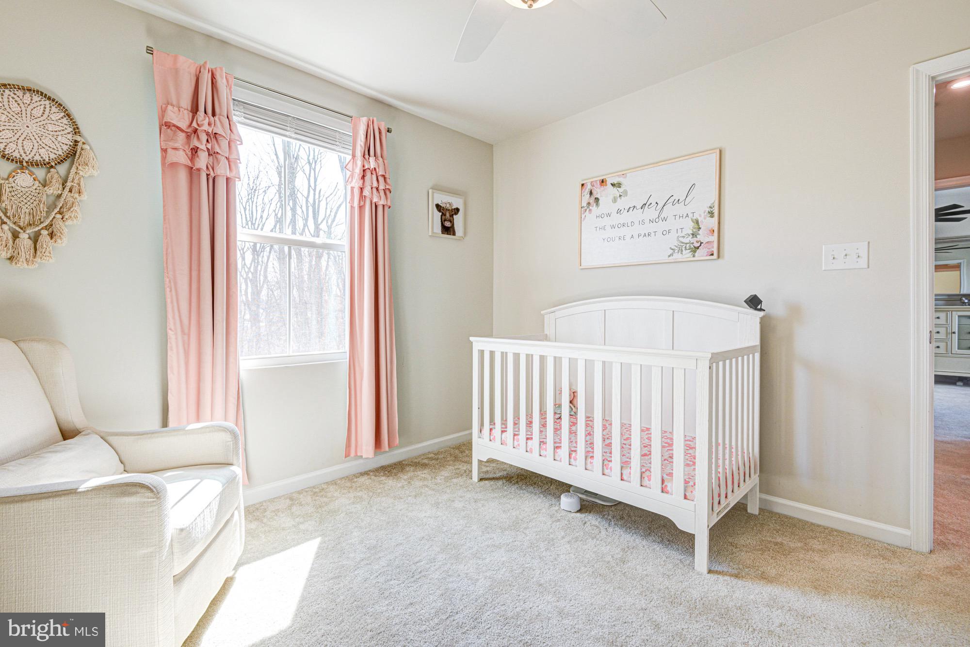 293 Sedimentary Rock Road Dover, DE 19904 - Photo 32 of 36 a view of a bedroom with baby crib and a window